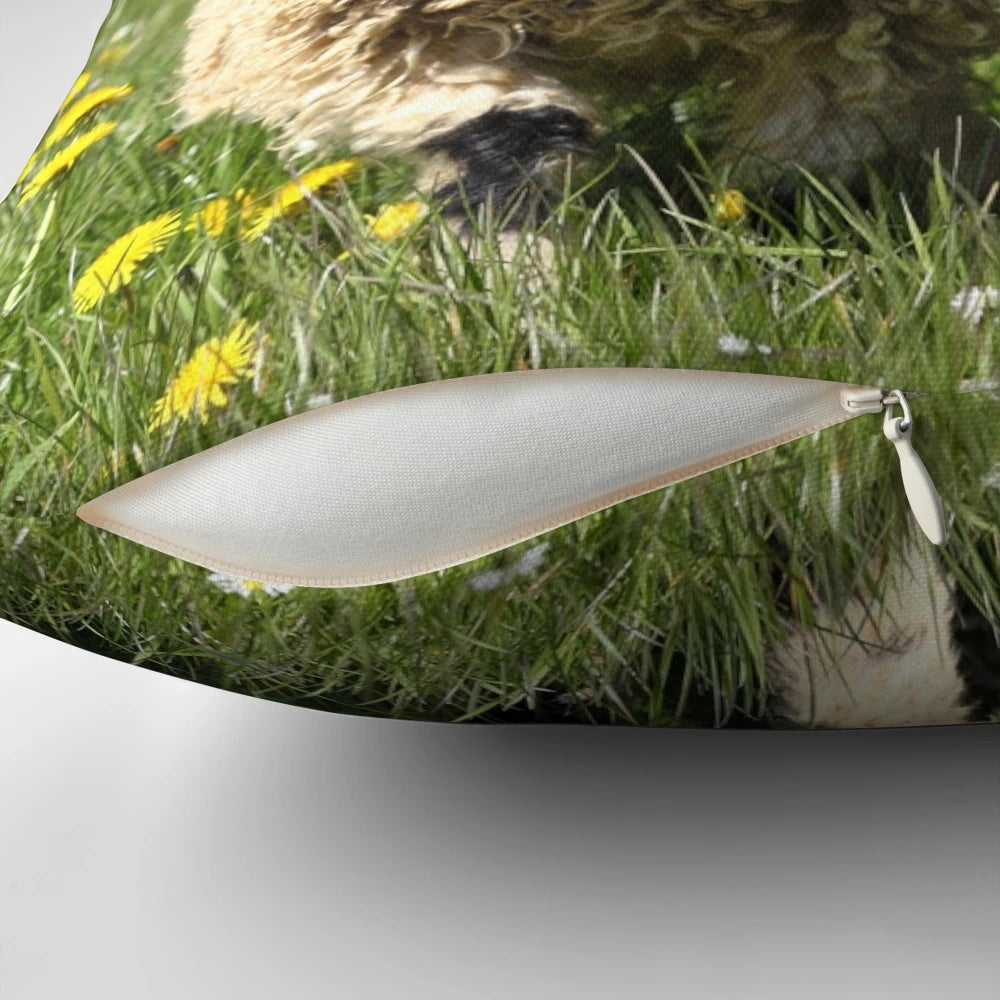 Soft and cuddly pillow featuring a photograph of a Valais black-nosed sheep