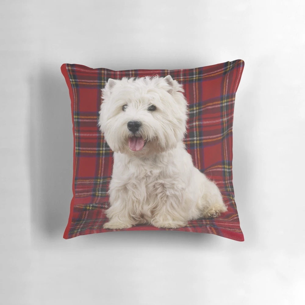 Adorable West Highland Terrier dog sitting on a Scotch plaid pattern pillow