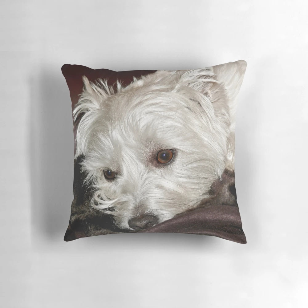 Soft, plush West Highland Terrier dog portrait on a pillow