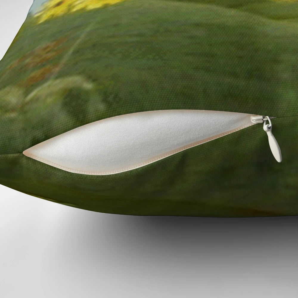 Ainsley Harriott's face photoshopped onto a sun-shaped pillow, featuring a funny, spicy expression.