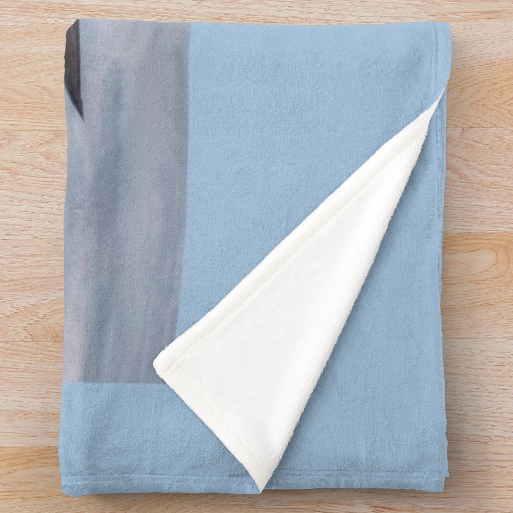 Airbus A380 inspired plush blanket