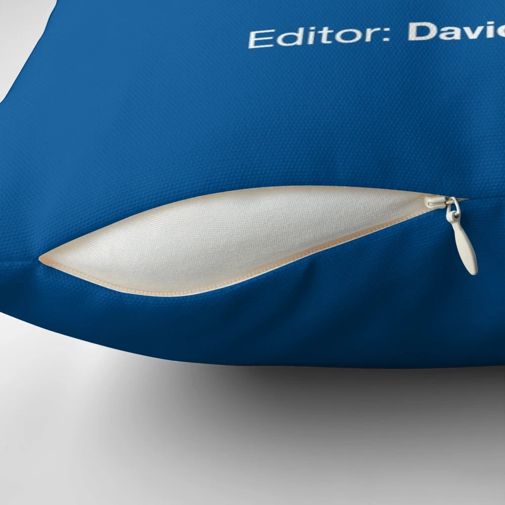 Annotated pillow with text related to the Goods and Services Tax Act for tax professionals