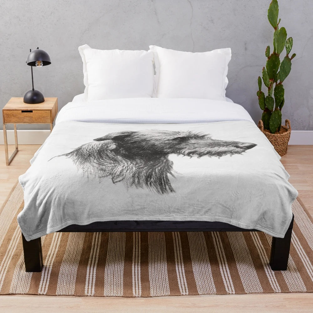 Sketch of a Scottish Deerhound dog on a plush blanket