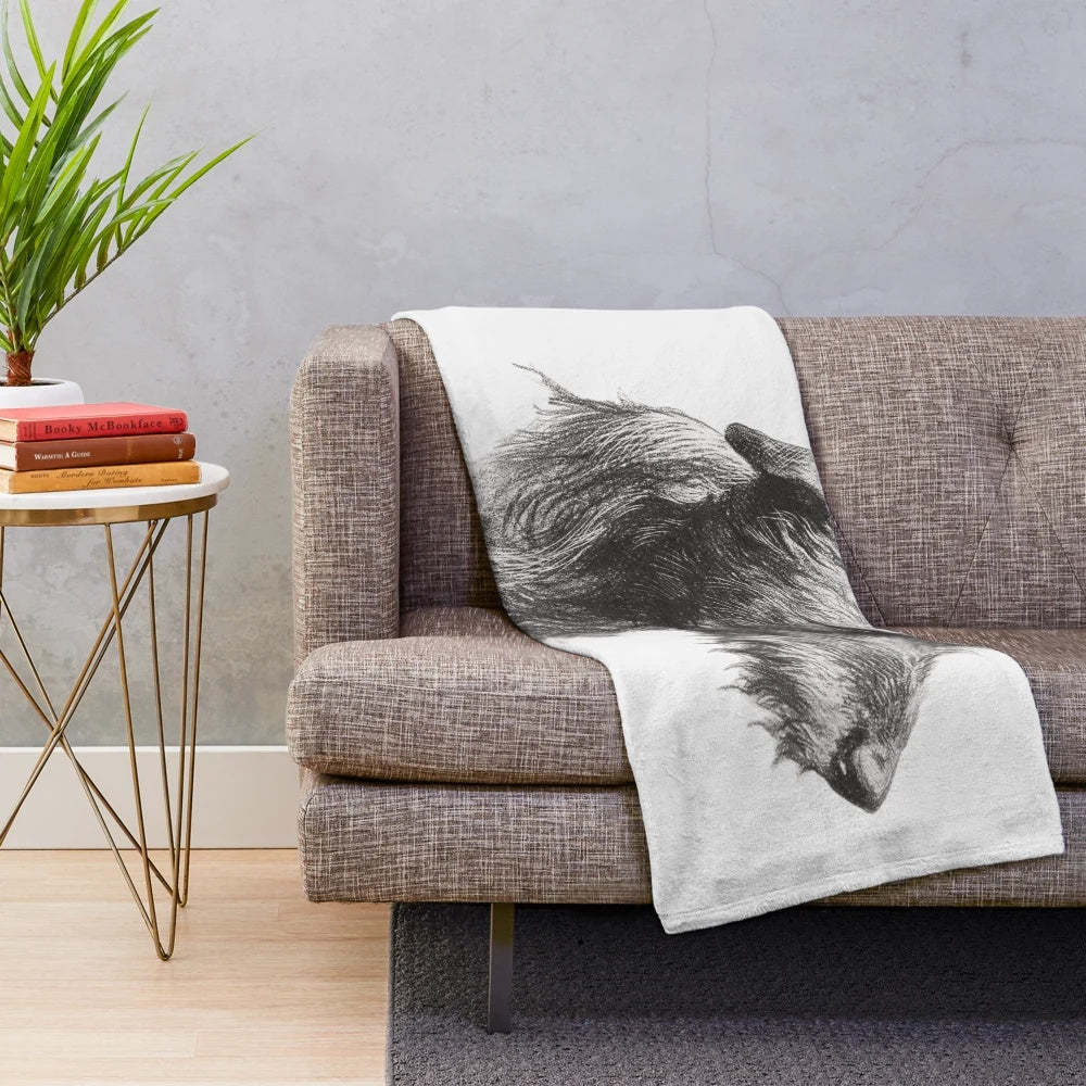 Sketch of a Scottish Deerhound dog on a plush blanket
