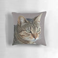 Closeup portrait of a tabby cat on a decorative throw pillow