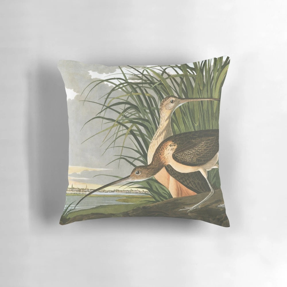 Vintage Audubon print of a Long-billed Curlew bird on a decorative throw pillow.