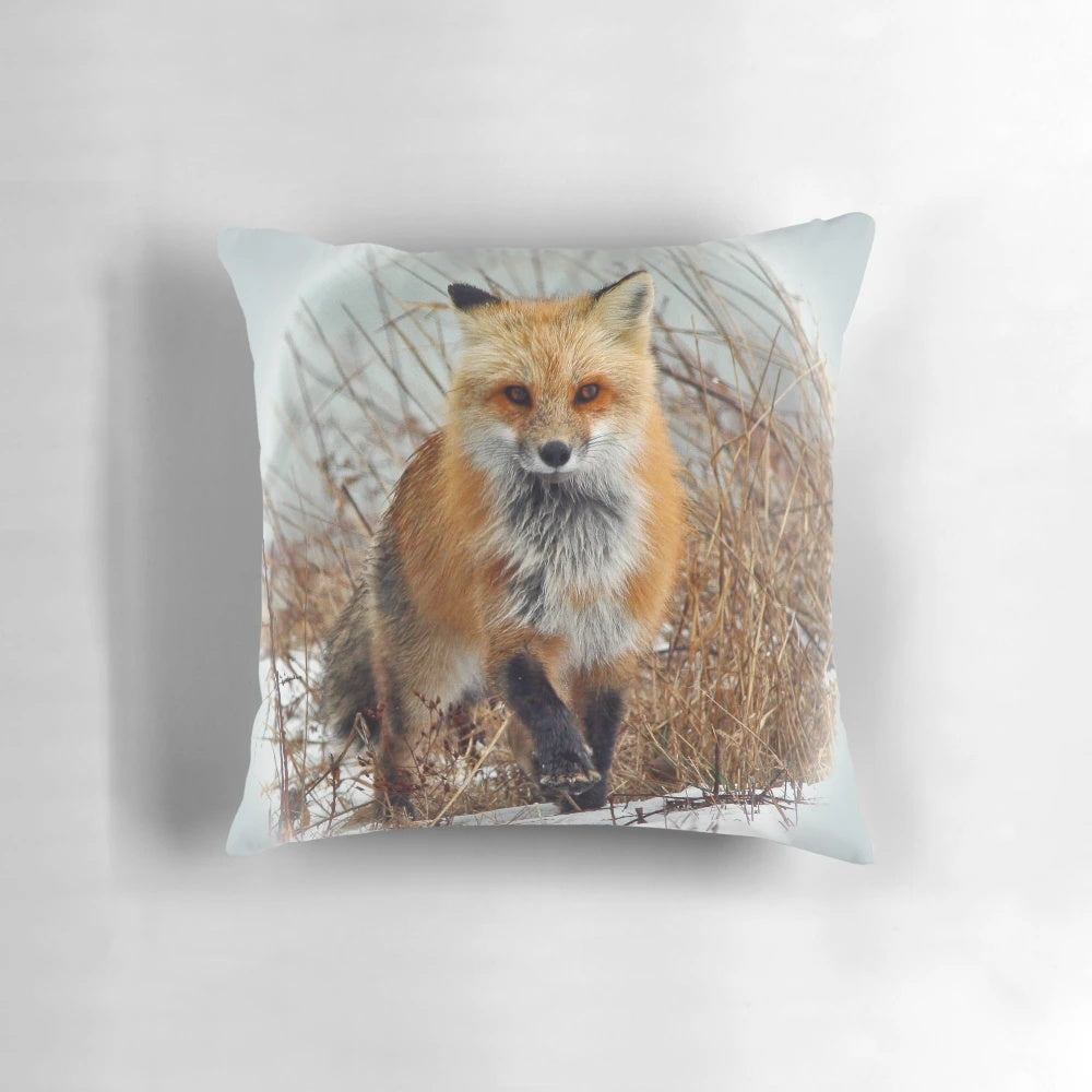 Closeup image of a red fox against a natural background