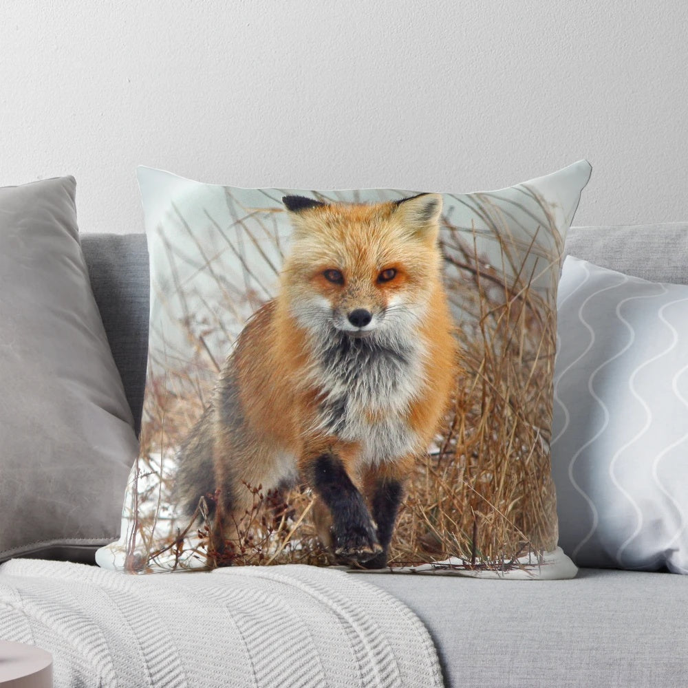 Closeup image of a red fox against a natural background