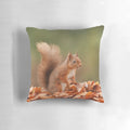 Cozy throw pillow featuring a vibrant red squirrel in an autumnal landscape