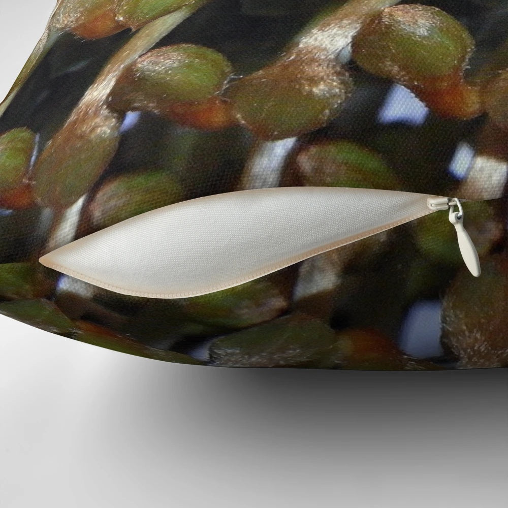 Closeup of a banksia bud on a decorative throw pillow, featuring a botanical pattern in green and orange.
