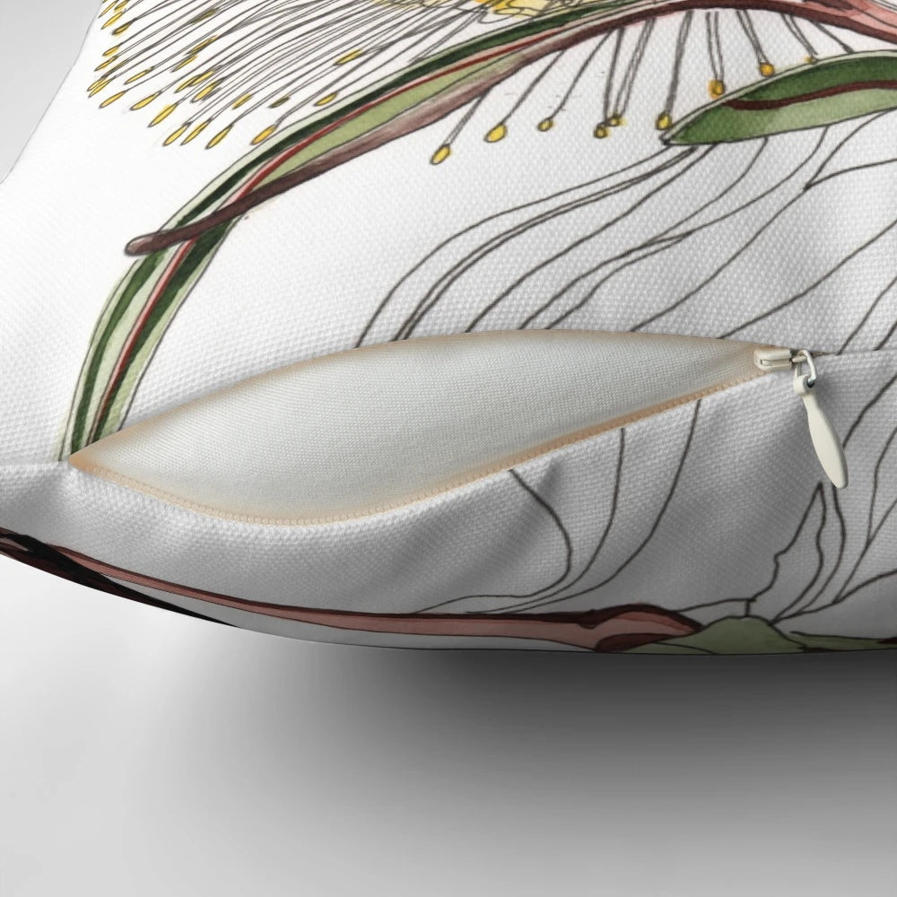 Banksia flower pod watercolor painting on a decorative pillow cover