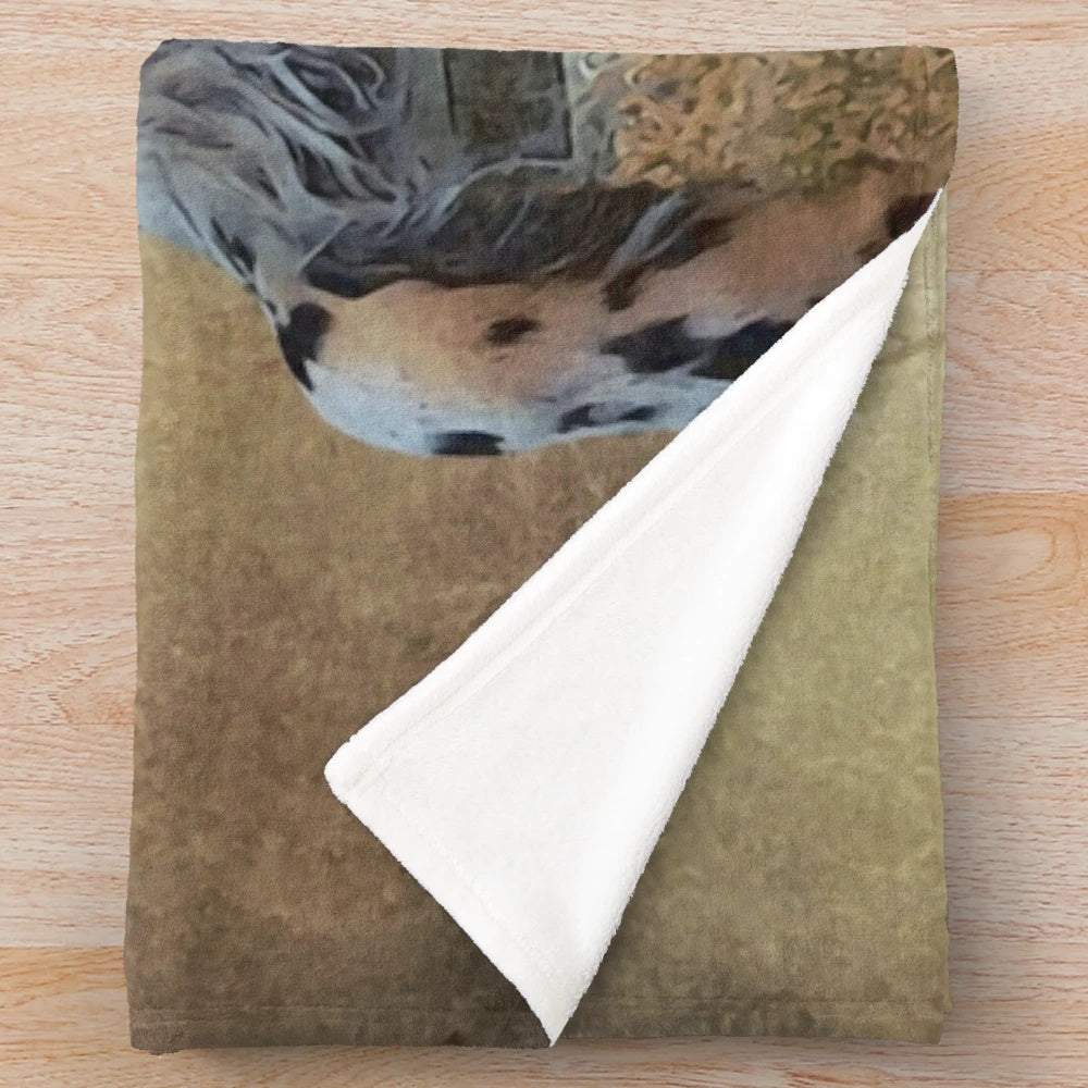 Plush blanket with artwork of an English setter hunting dog and pheasants
