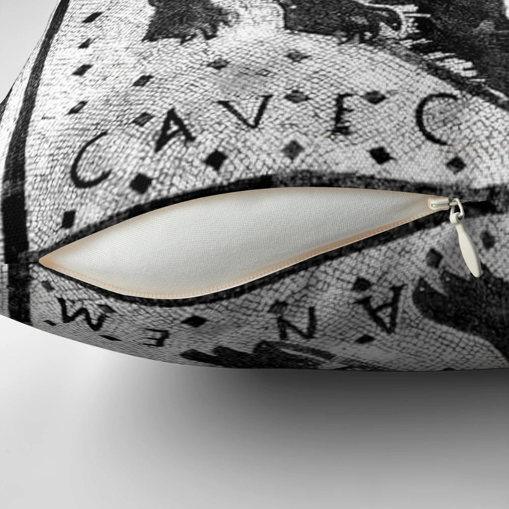 Ancient Roman mosaic depicting a "Beware of Dog" sign, showcased on a decorative throw pillow.