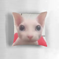 A soft, plush pillow featuring the popular "bingus" and "floppa" meme cats