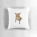 Blank face dog pillow, a cozy and stylish pet accessory for your home