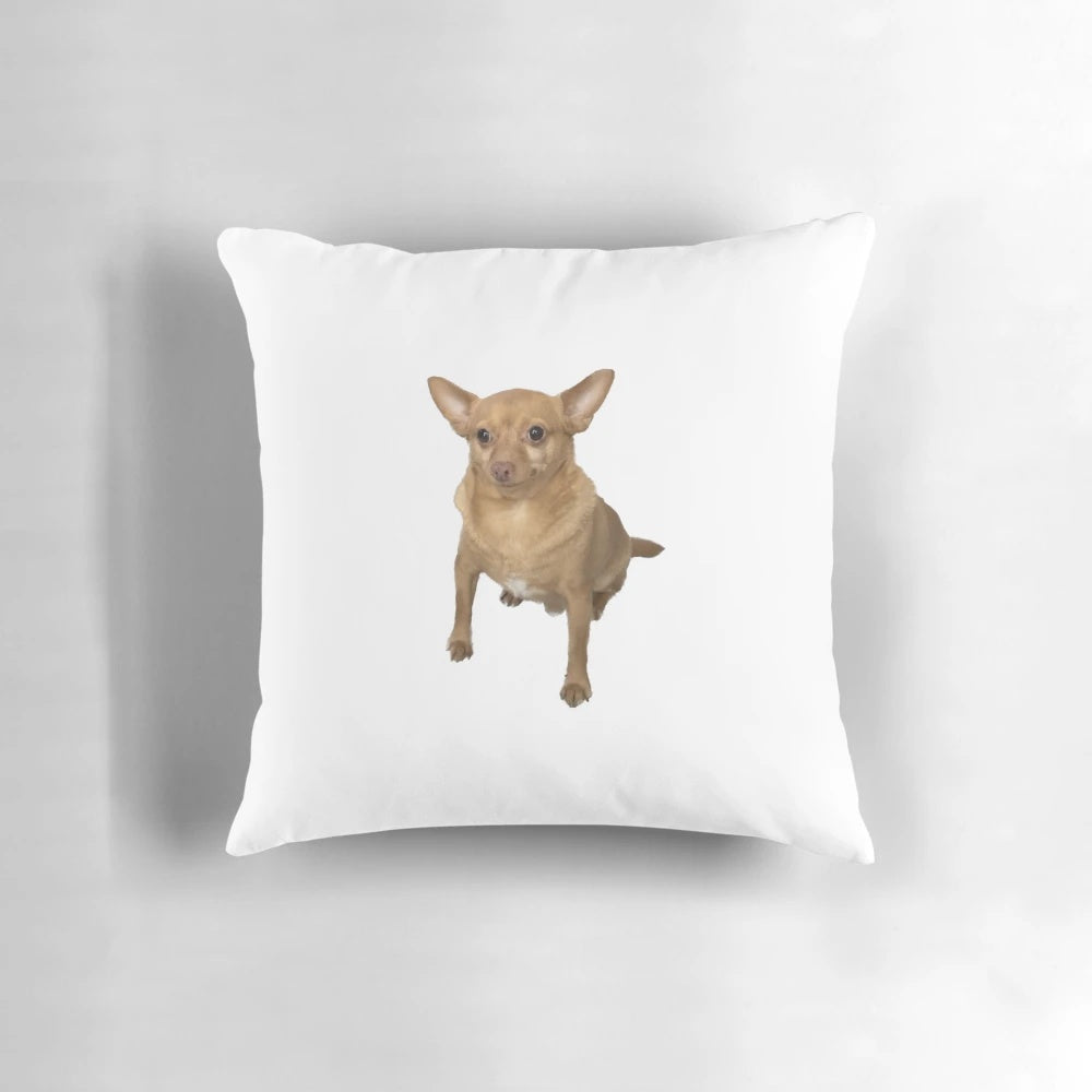 Blank face dog pillow, a cozy and stylish pet accessory for your home