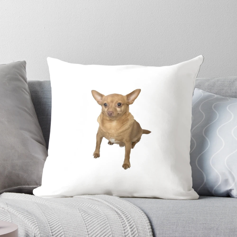 Blank face dog pillow, a cozy and stylish pet accessory for your home