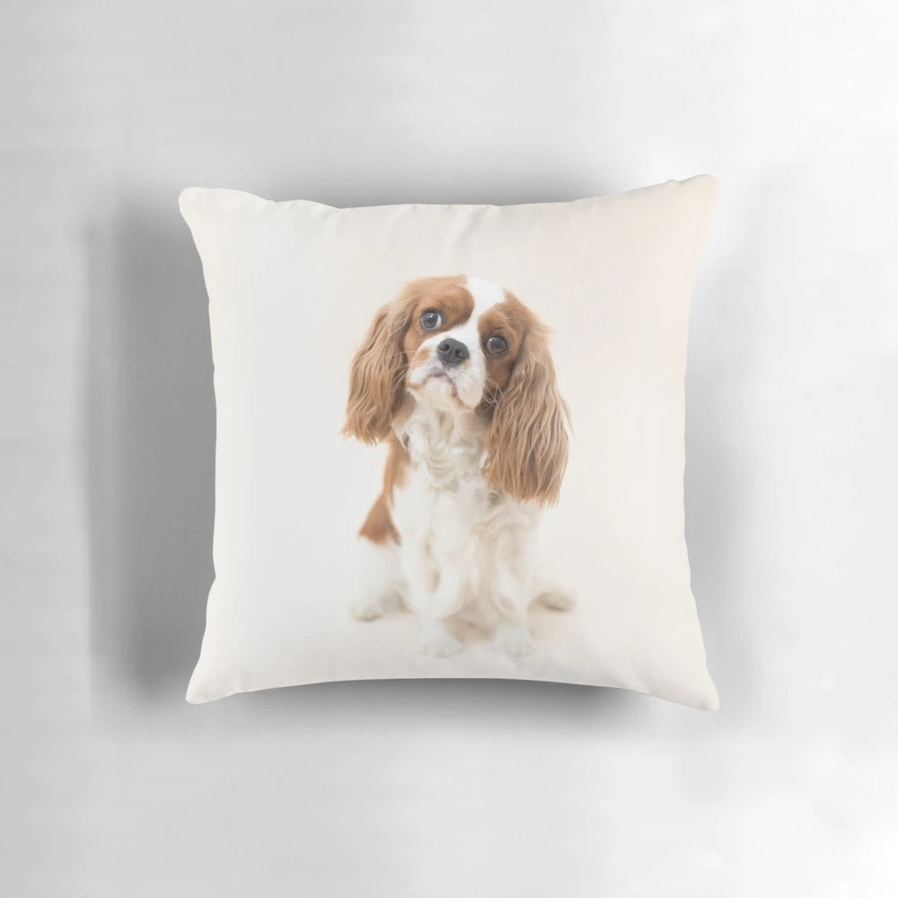 Blenheim Cavalier King Charles Spaniel Plush Pillow