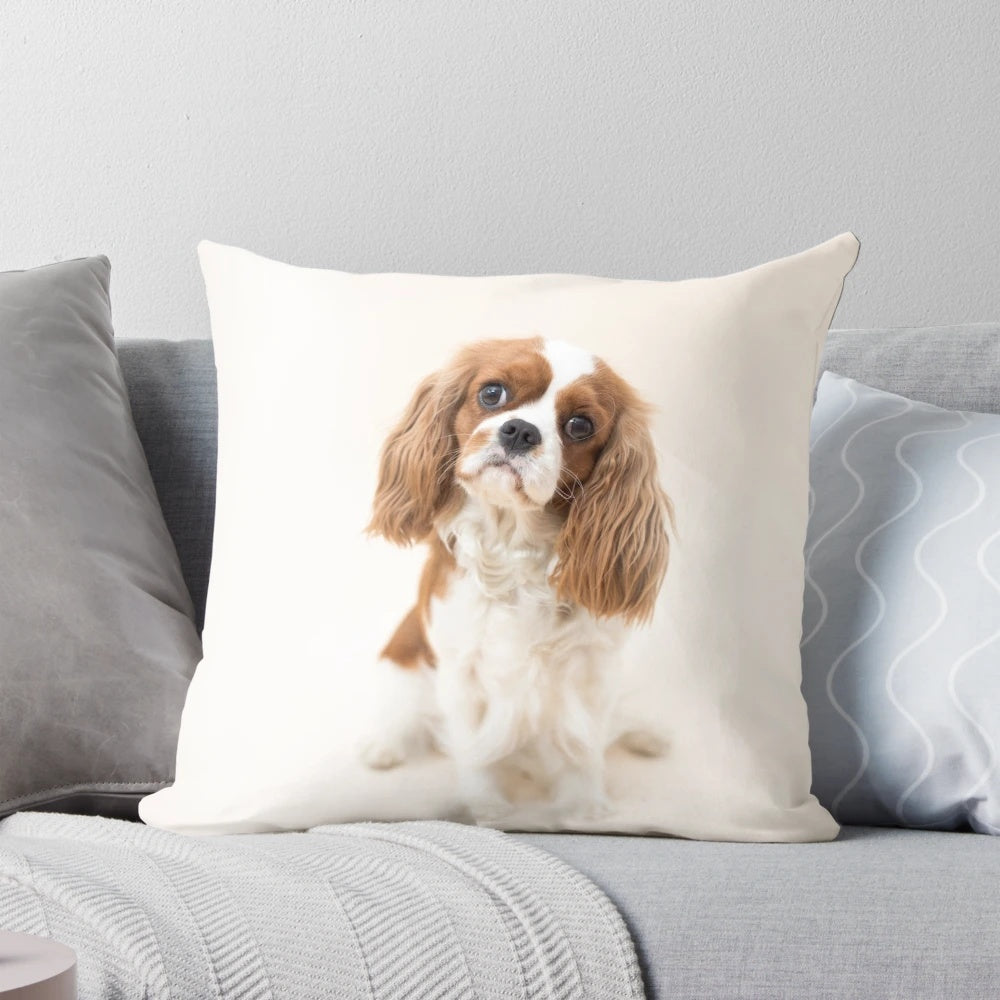 Blenheim Cavalier King Charles Spaniel Plush Pillow