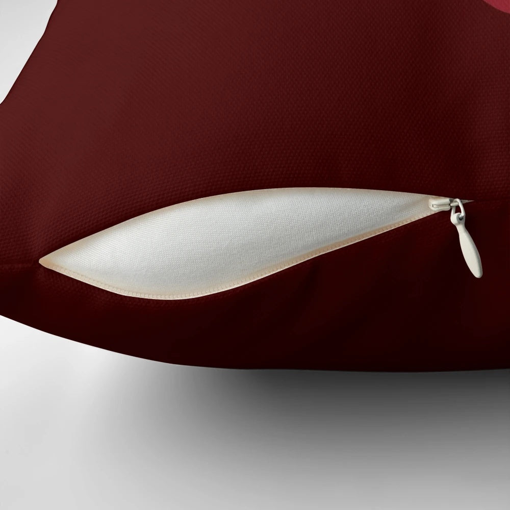 Star Trek Captain Picard Pillow with the USS Enterprise