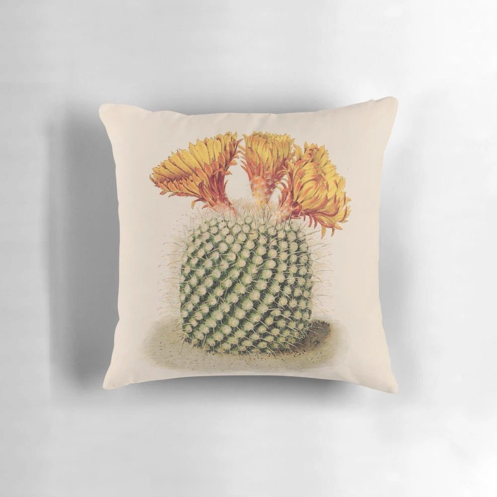 Botanical cactus pillow with floral and succulent design for natural, rustic home decor