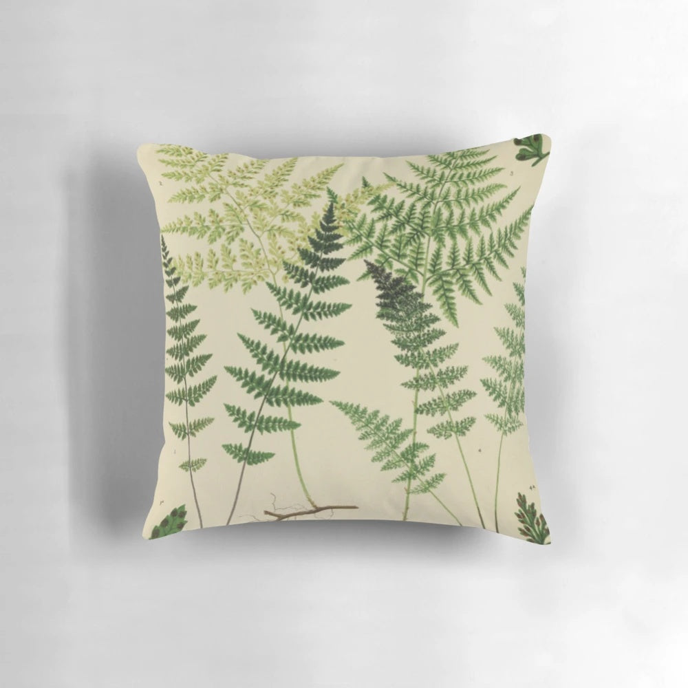 Botanical ferns print on a plush, natural-colored pillow for a touch of vintage style in any room.