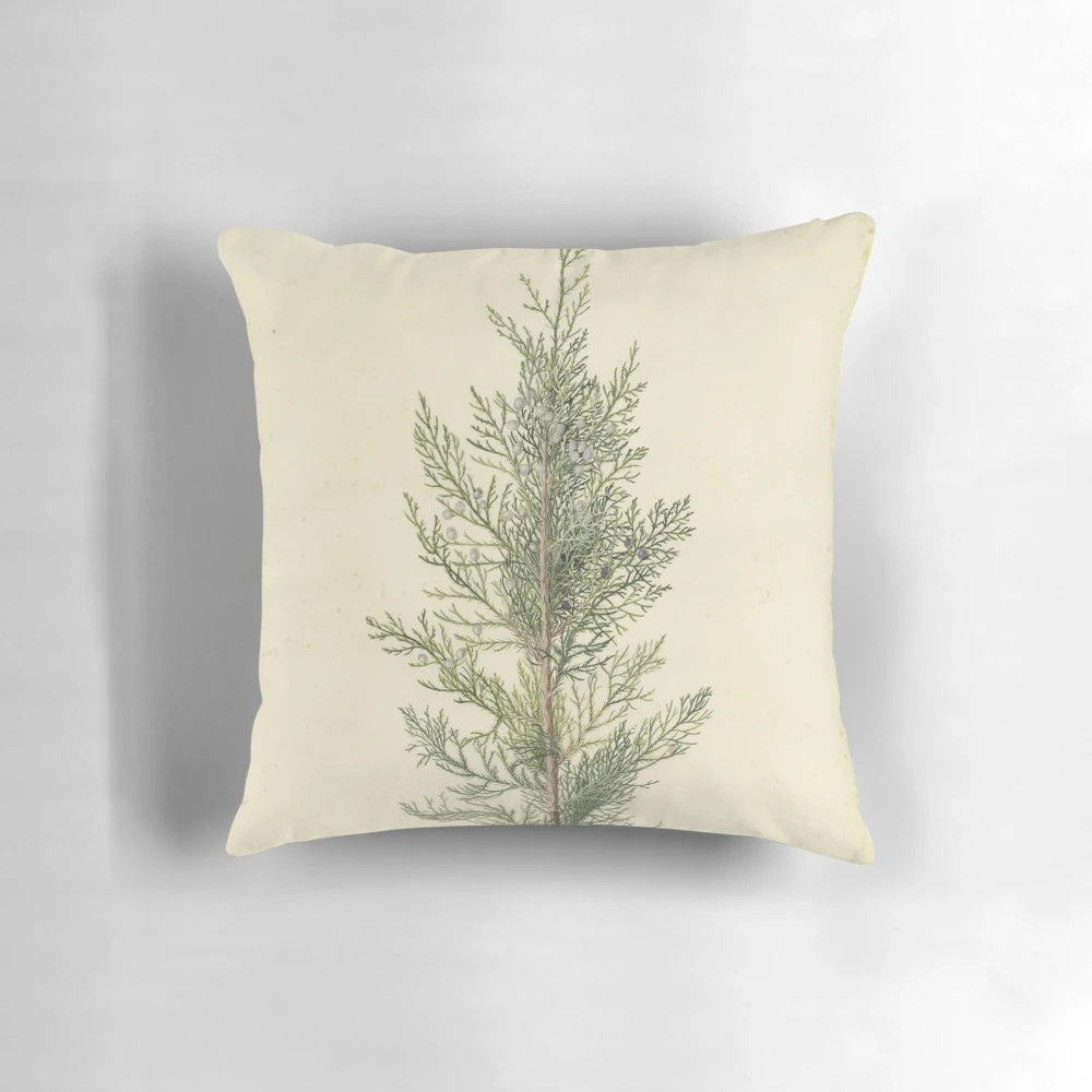 Botanical illustration of a juniper tree branch on a cozy pillow