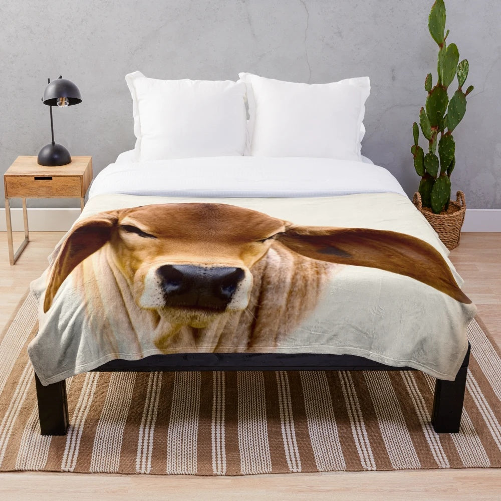 Brahman calf plush blanket