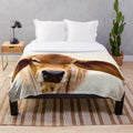 Brahman calf plush blanket