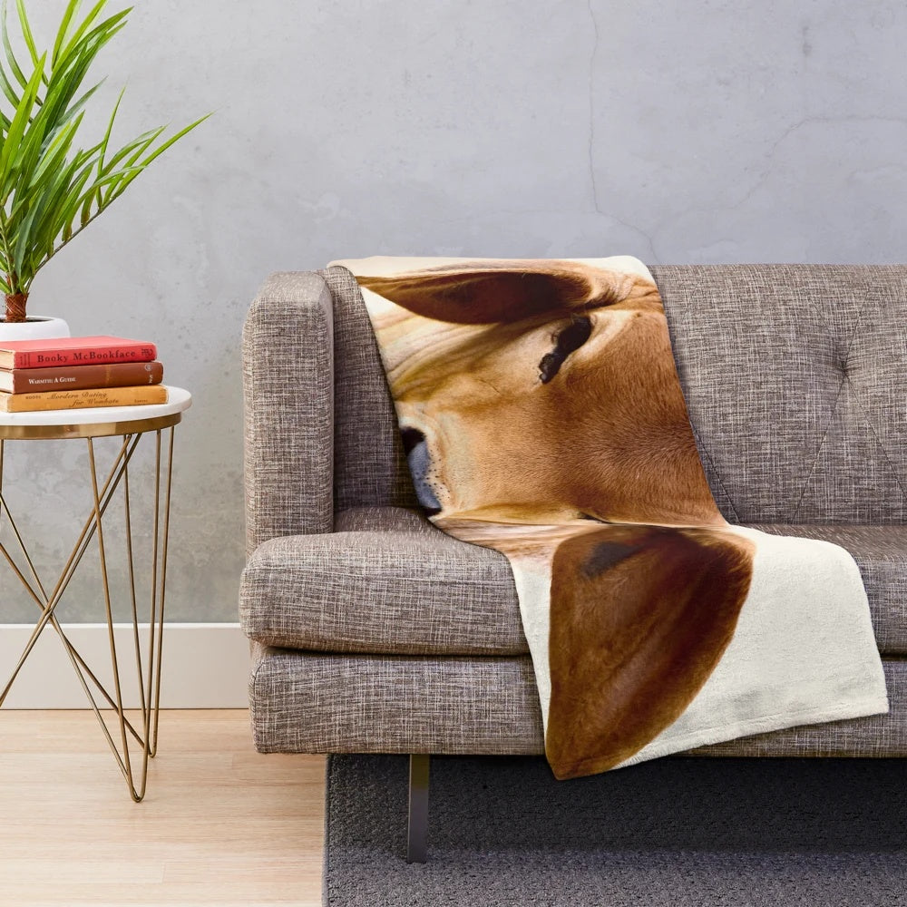 Brahman calf plush blanket