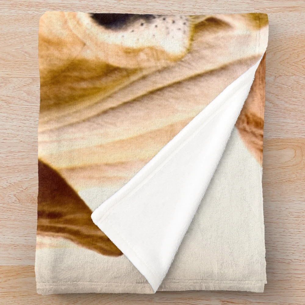 Brahman calf plush blanket