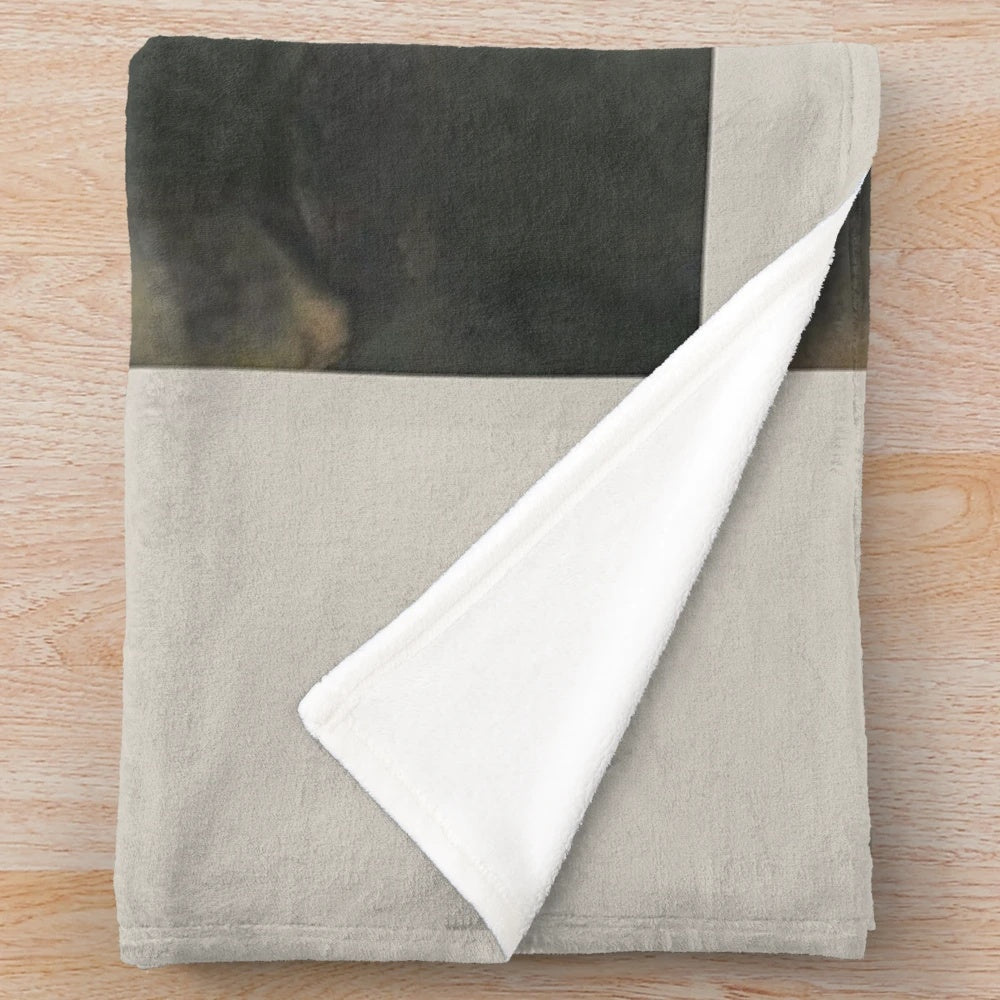 Bridges of Madison County-inspired plush blanket with Meryl Streep and Clint Eastwood