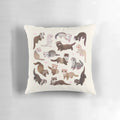 A bright and adorable ferret pillow, showcasing the playful and charming nature of these furry companions.