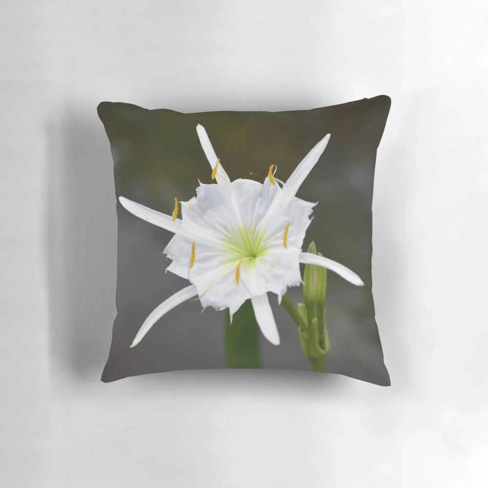 Soft, white cahaba lily flower pillow for natural, botanical home decor