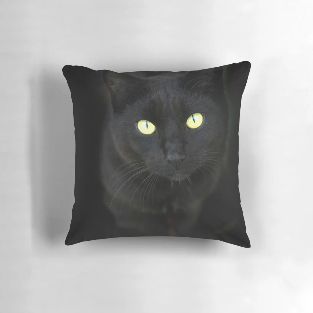 Closeup portrait of a black cat with piercing eyes on a black background