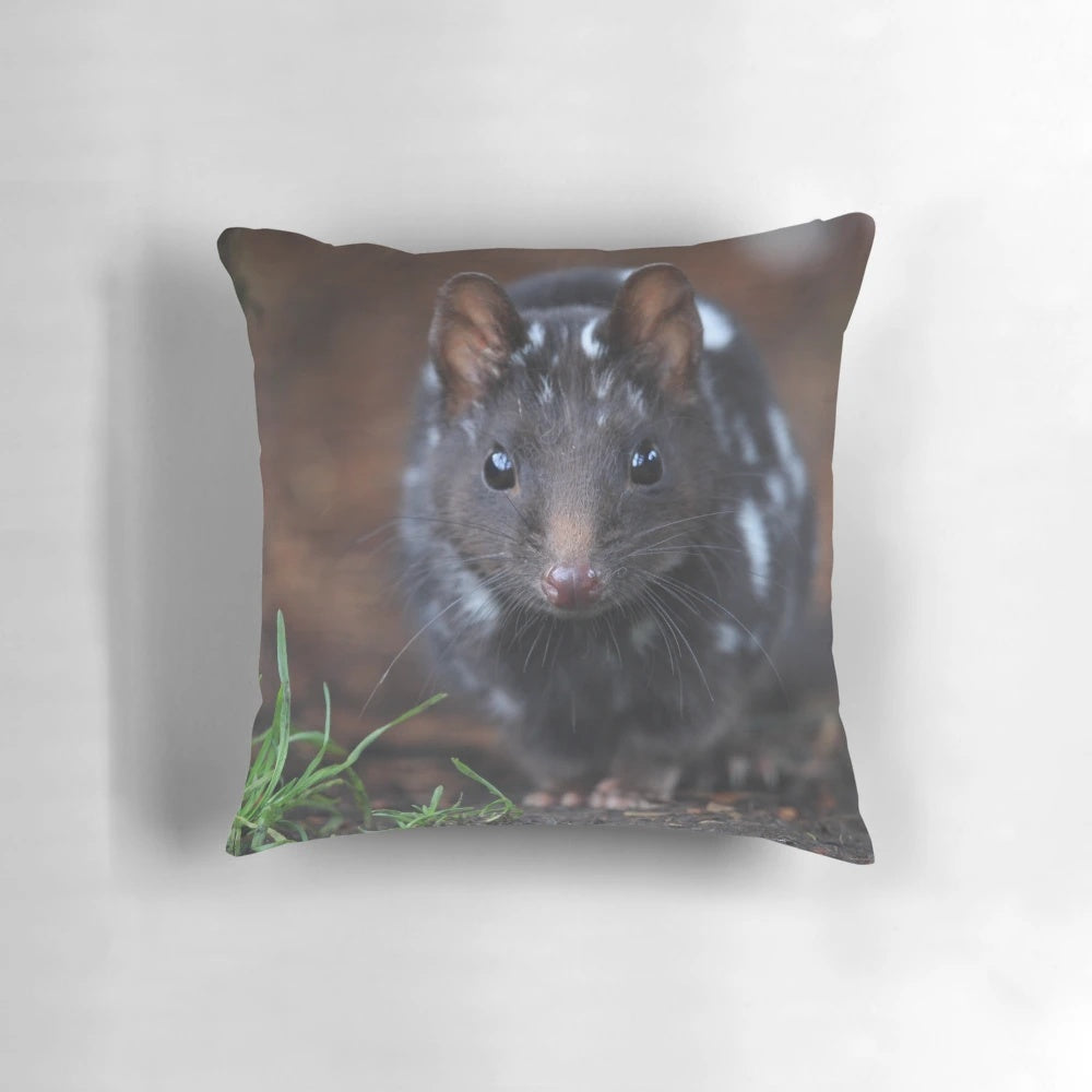 Black and white image of an eastern quoll, a small carnivorous marsupial native to Australia, featured on a decorative throw pillow.