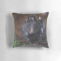 Black and white image of an eastern quoll, a small carnivorous marsupial native to Australia, featured on a decorative throw pillow.