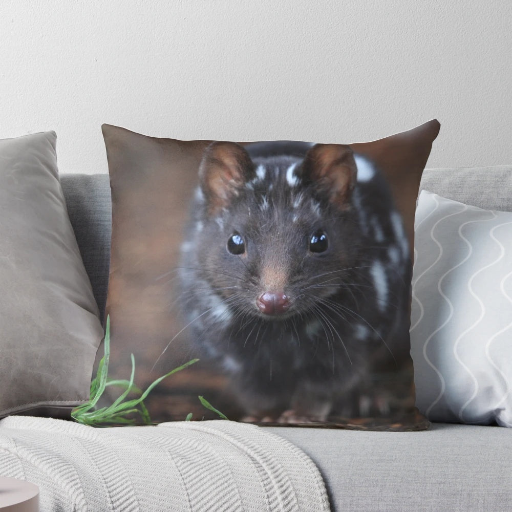 Black and white image of an eastern quoll, a small carnivorous marsupial native to Australia, featured on a decorative throw pillow.