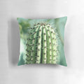 Close-up photograph of a vibrant green cactus plant on a soft, plush pillow