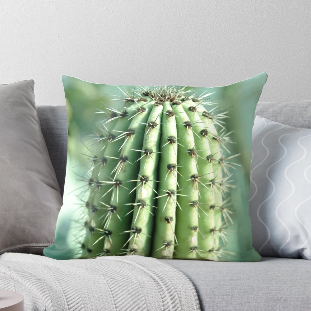 Close-up photograph of a vibrant green cactus plant on a soft, plush pillow