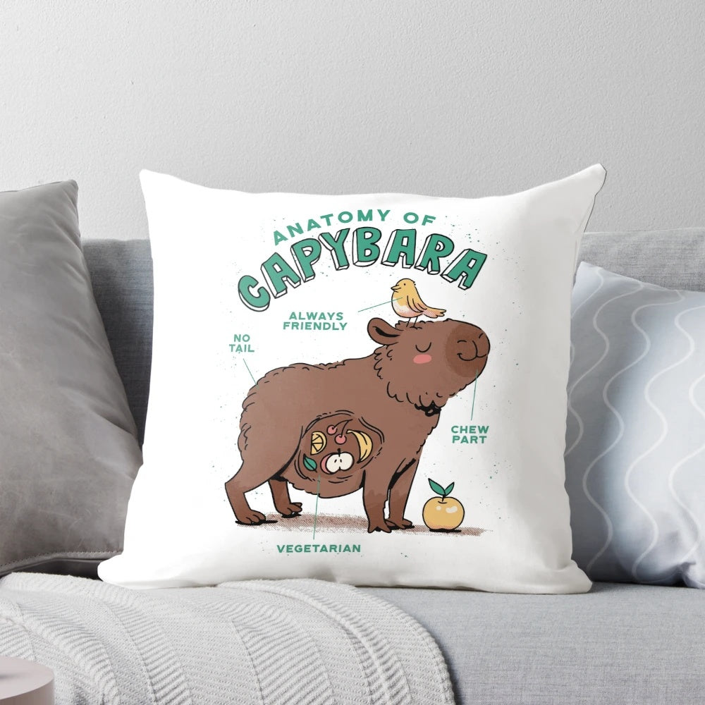 Colorful illustration of a capybara's anatomical features on a decorative throw pillow