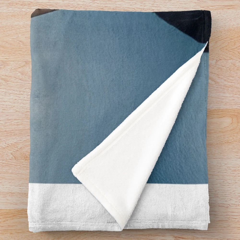 Plush blanket featuring concert history and musical instruments