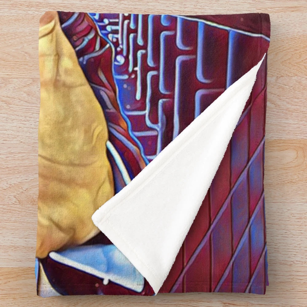 Phantom of Cinema Plush Blanket