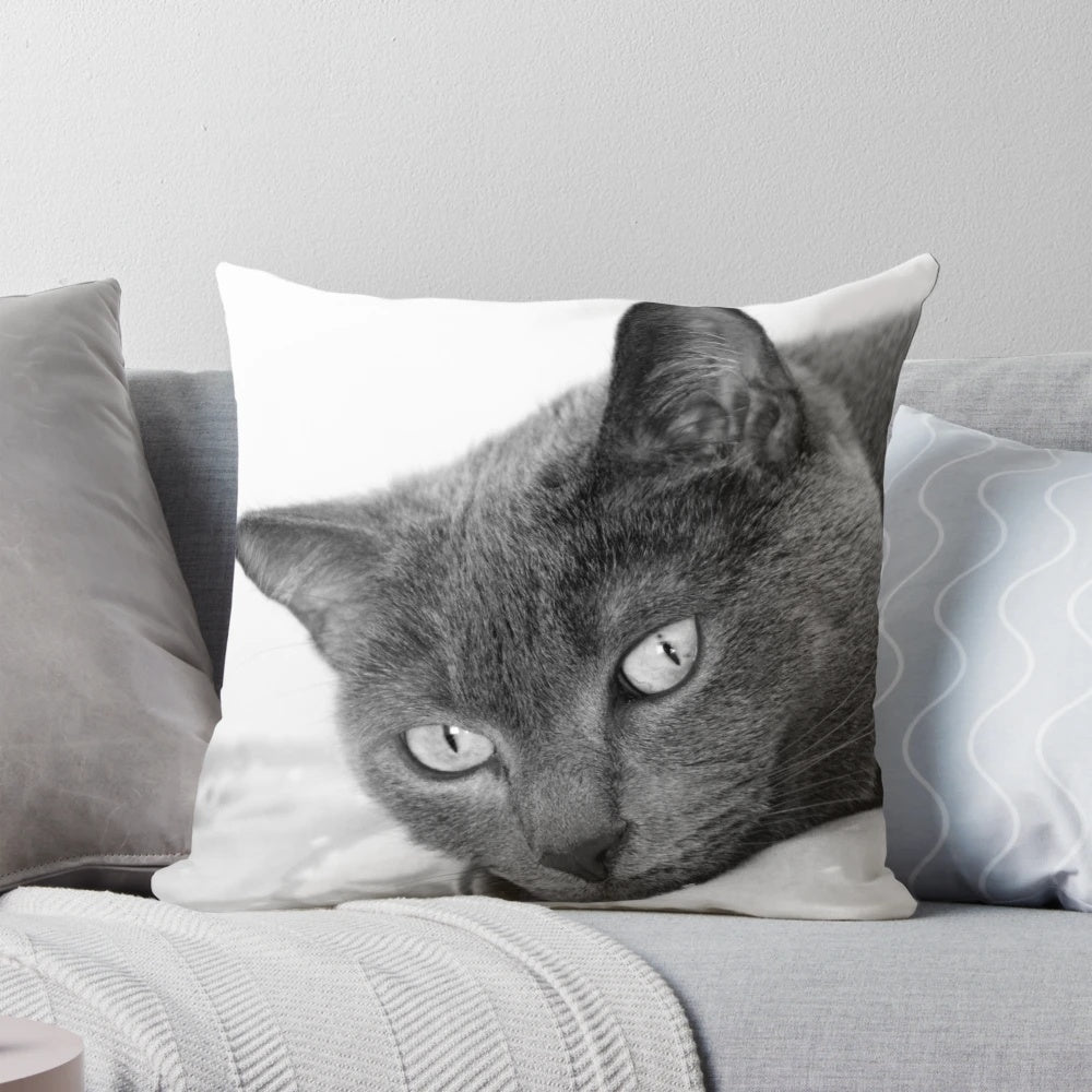 A black and white portrait of a striking Russian Blue cat's eyes on a throw pillow.