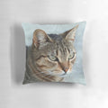 Closeup photo of a stunning tabby cat on a throw pillow