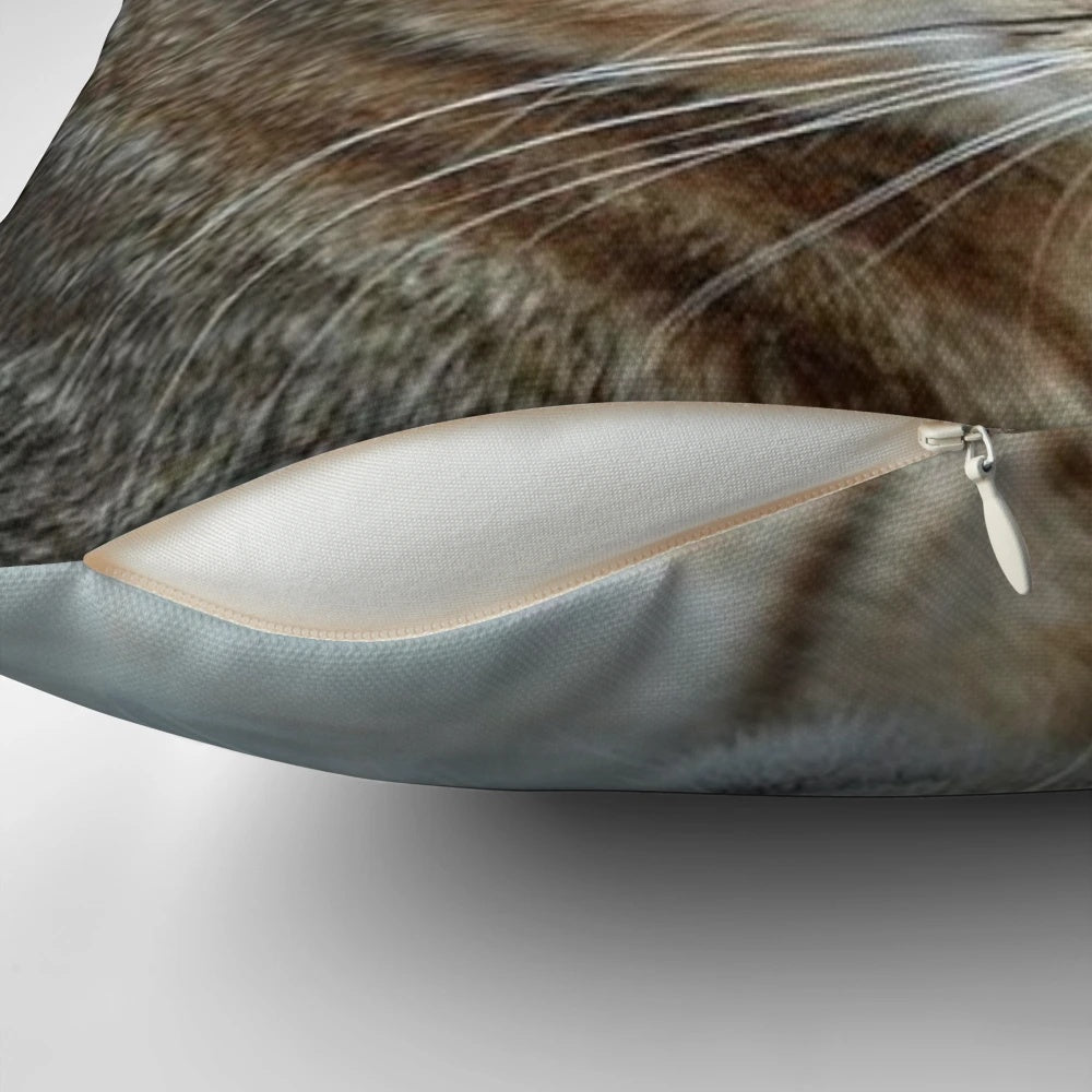 Closeup photo of a stunning tabby cat on a throw pillow
