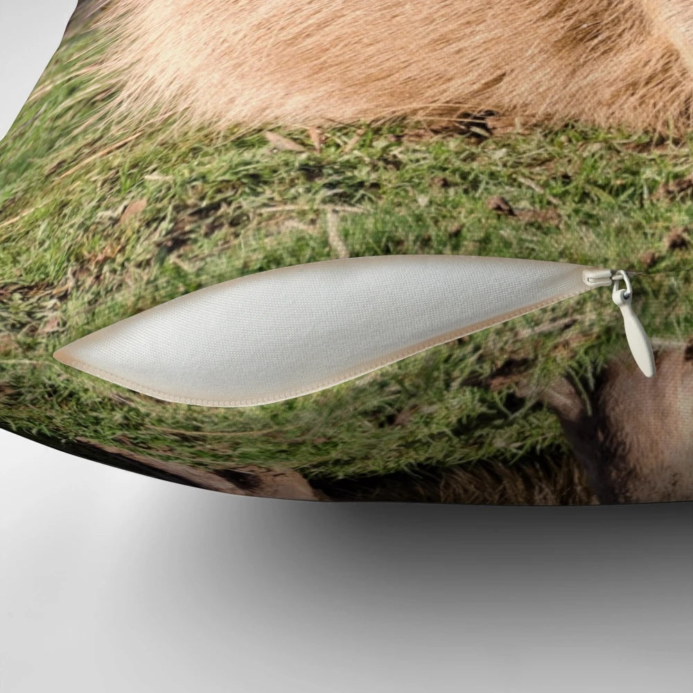 Plush pillow with image of a capybara, a large, friendly rodent native to South America