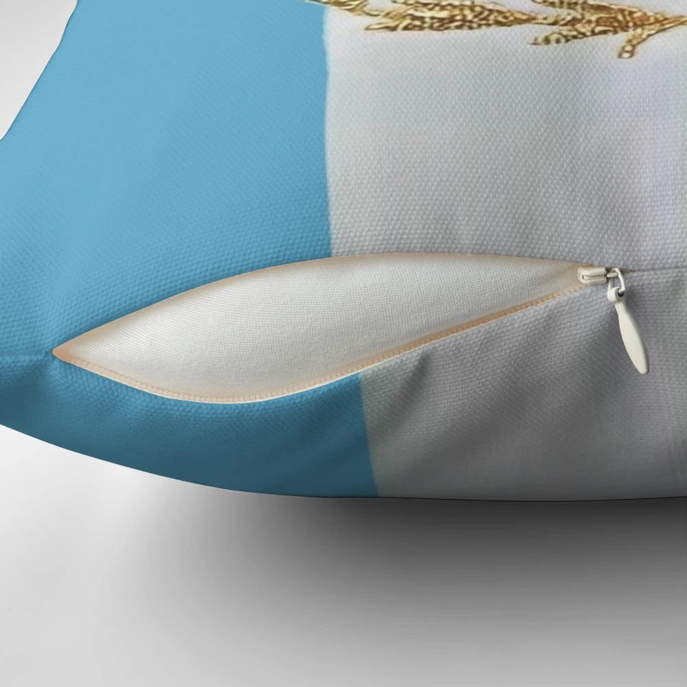 Soft pillow with Argentina soccer team logo, Lionel Messi jersey number 10, and "World Champions" text