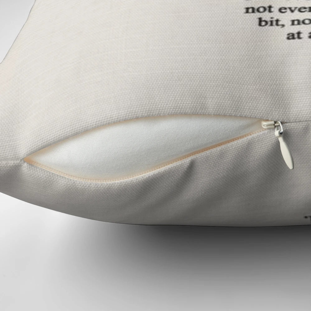 "10 Things I Hate About You" movie quote pillow