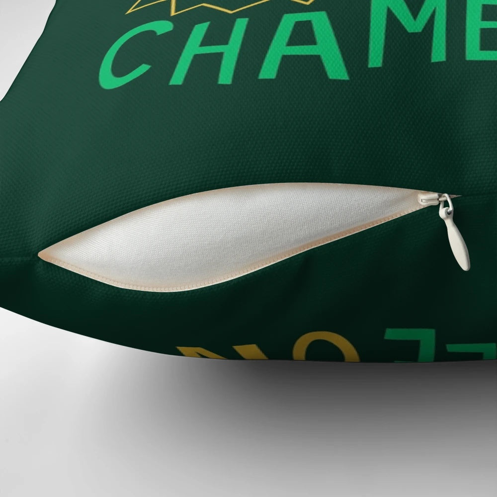Colorful chameleon-themed pillow with a playful pun design